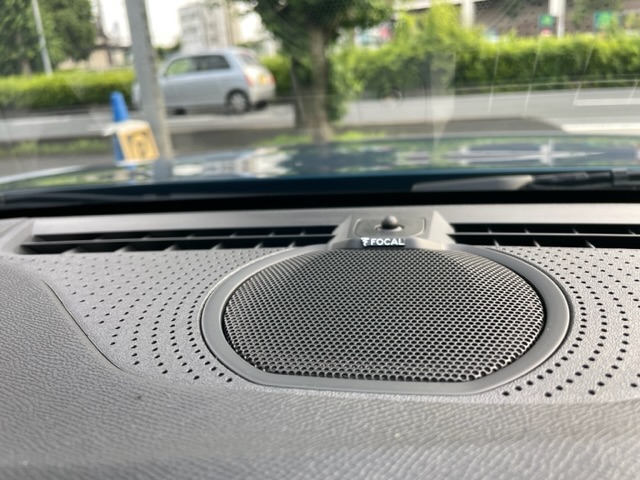 新種、入荷です。