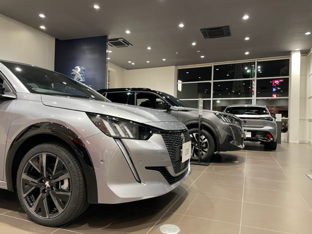 特別仕様車展示中！