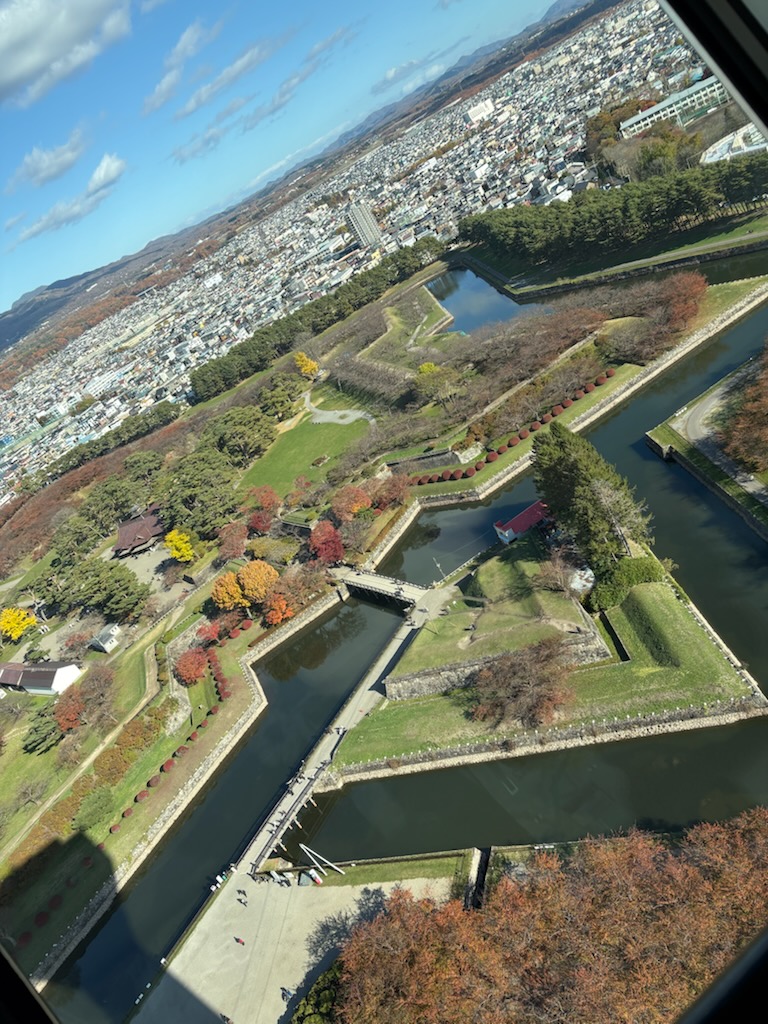 冬はまだ来ず・・・