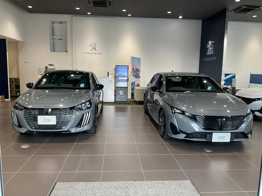 308HYBRIDに人気の限定カラーが登場❗️