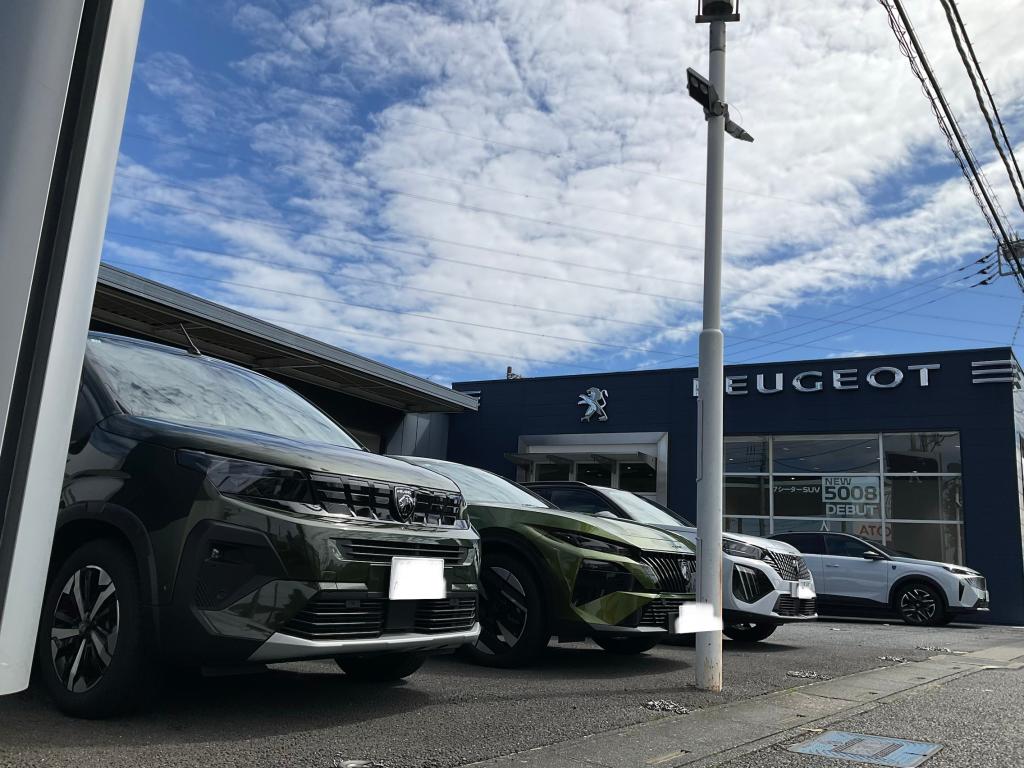 本日はショールームのみ営業中🦁